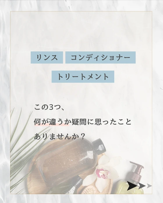 画像259
