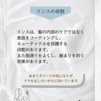 画像261