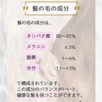 画像274