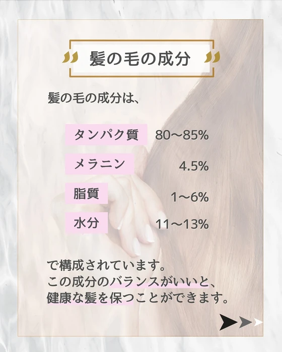 画像274
