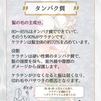 画像275