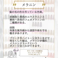 画像276