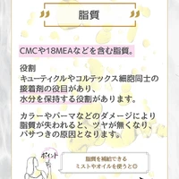 画像277