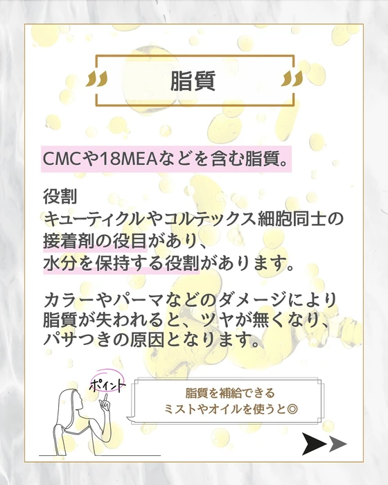 画像277