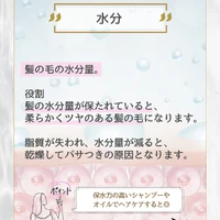 画像278