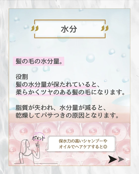 画像278