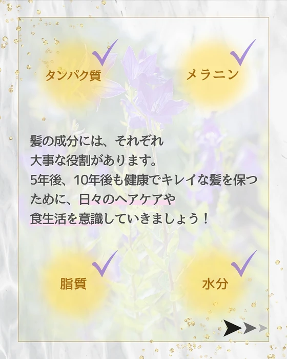 画像280