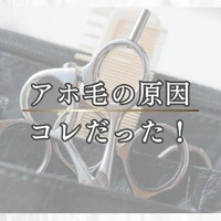 画像287