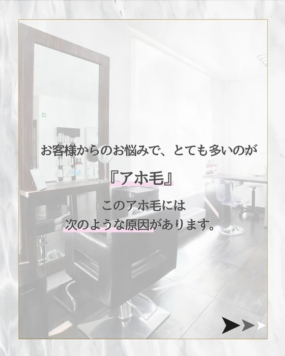 画像288