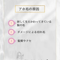 画像289