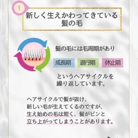 画像290