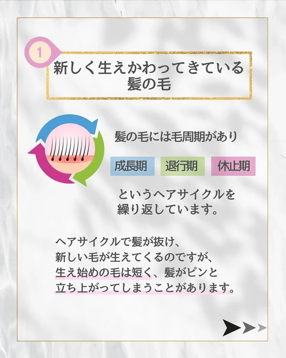 画像290