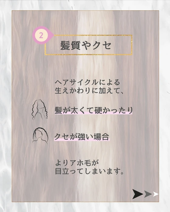 画像291