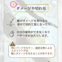 画像292
