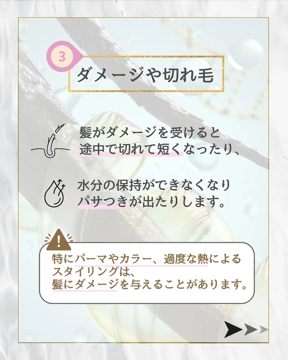 画像292