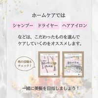 画像296