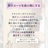画像337