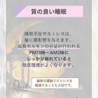 画像339