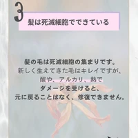 画像359