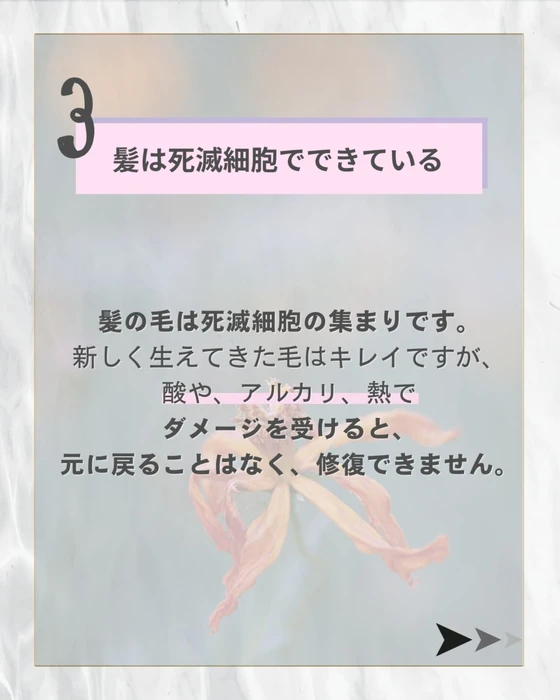 画像359