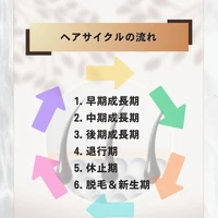 画像369