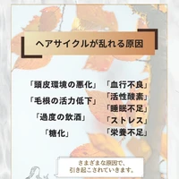 画像372