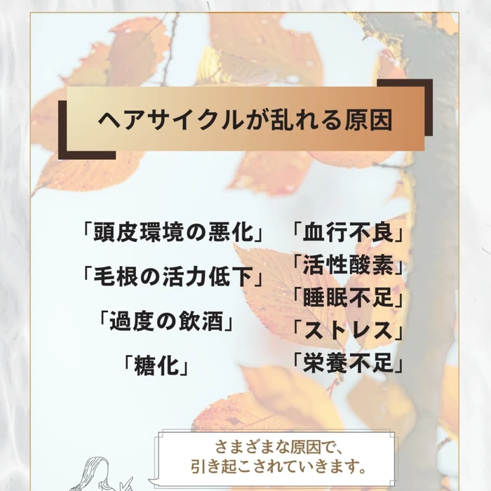 画像372