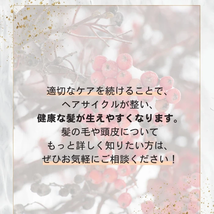 画像376
