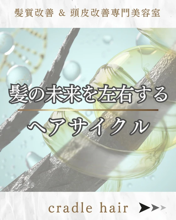 画像379