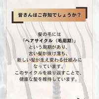 画像380