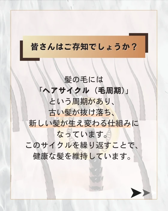 画像380