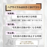 画像382
