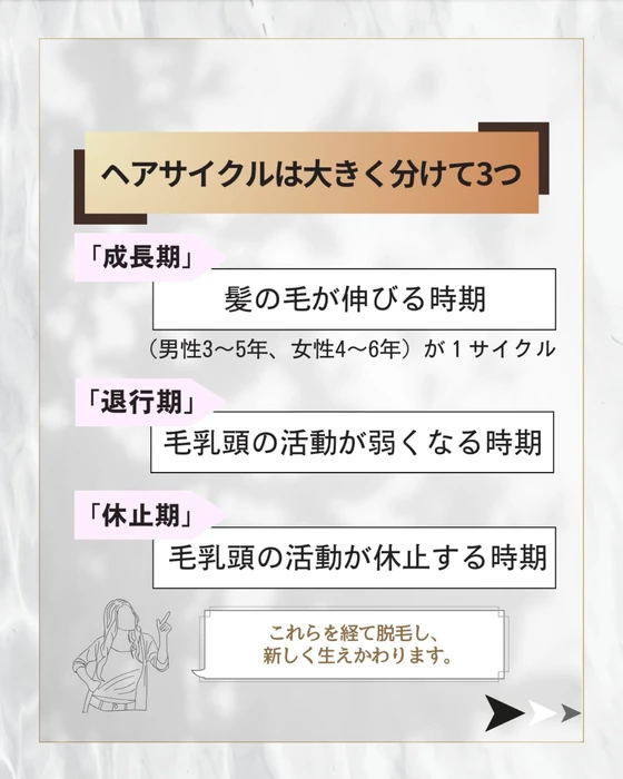 画像382
