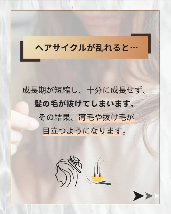 画像383
