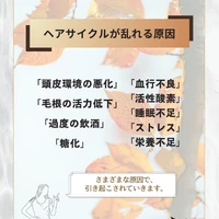 画像384