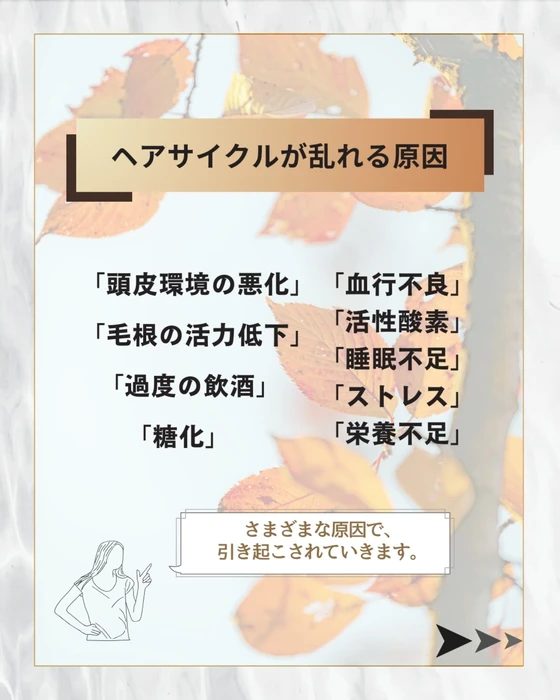 画像384