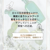 画像386
