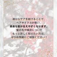 画像388