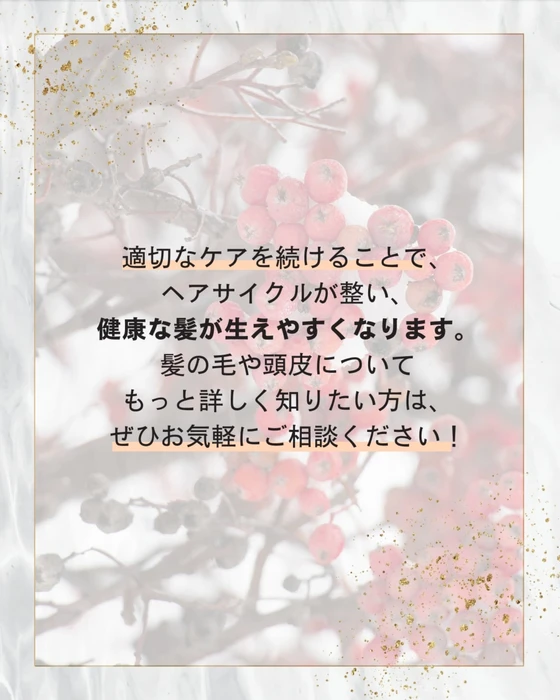 画像388