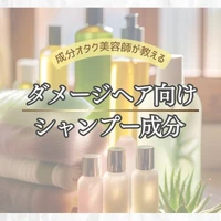 画像410