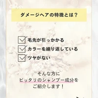 画像411