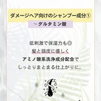 画像413