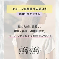 画像415