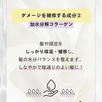 画像417