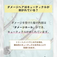 画像428