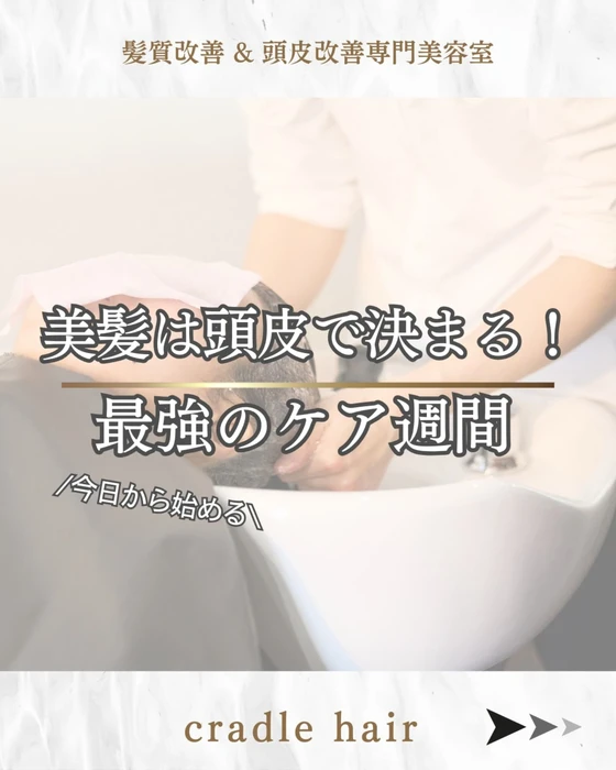 画像442