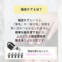 画像443