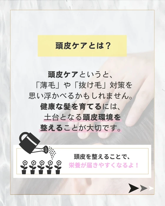 画像443