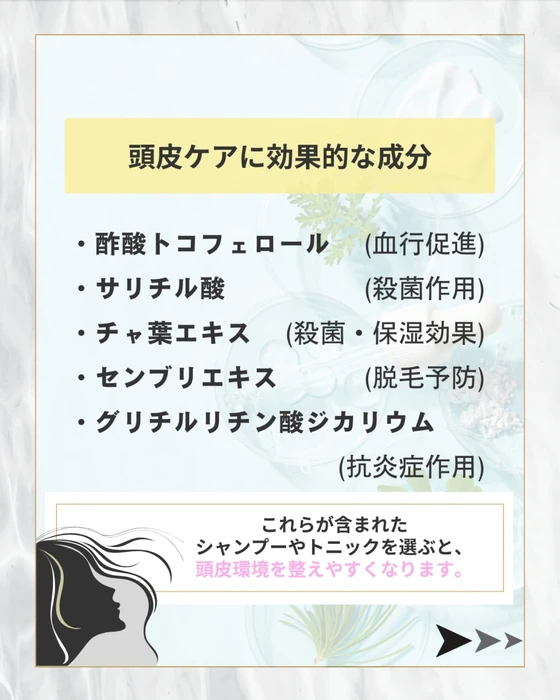 画像445