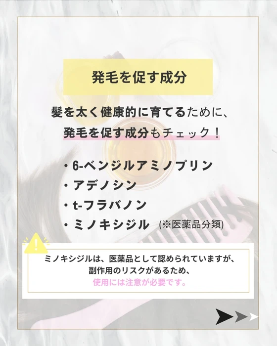 画像446